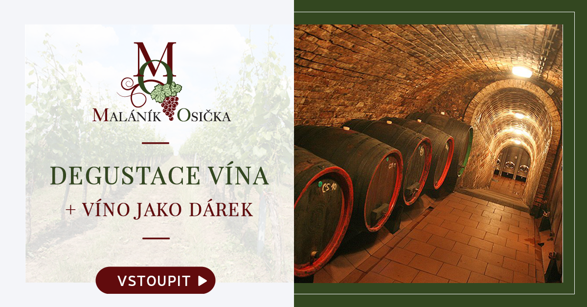 DEGUSTACE-VINO-JAKO-DAREK